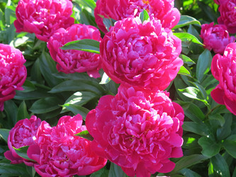 Similar image 21212771