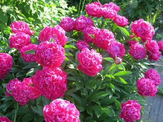 Similar image 21212772