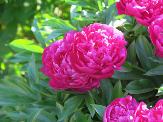 Similar image 21212773