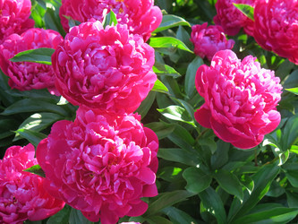 Similar image 21212774