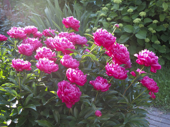 Similar image 21212776