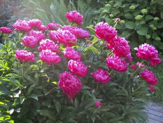 Similar image 21212777