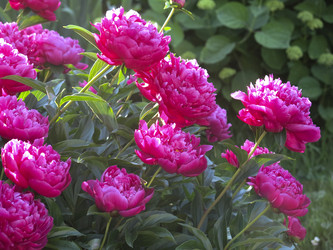 Similar image 21212779