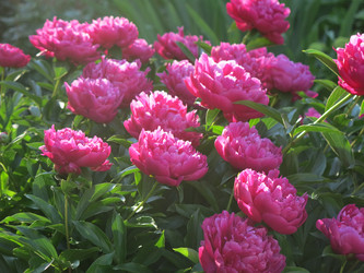 Similar image 21212780