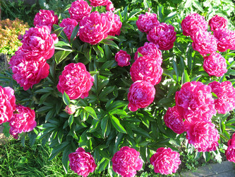 Similar image 21212781