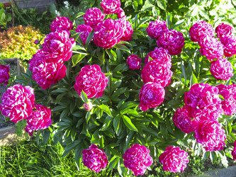 Similar image 21212782