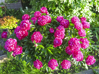 Similar image 21212784