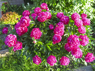 Similar image 21212785