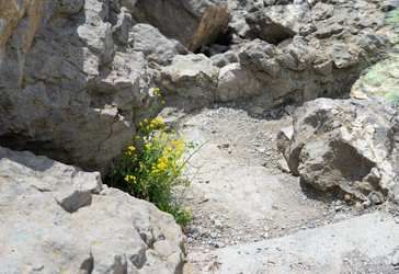 Similar image 21208243