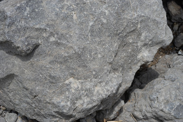 Similar image 21208244