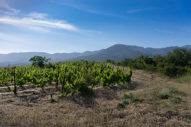 Similar image 21208254