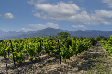 Similar image 21208255