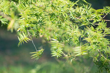 Similar image 21208298