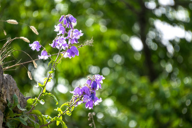 Similar image 21208326