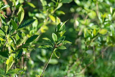 Similar image 21208332