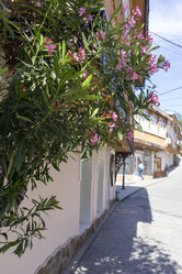 Similar image 21208333