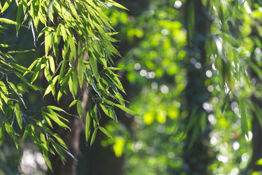 Similar image 21208334