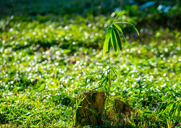 Similar image 21208338