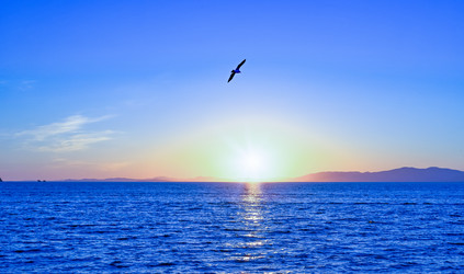 Similar image 21208348