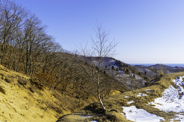 Similar image 21208364