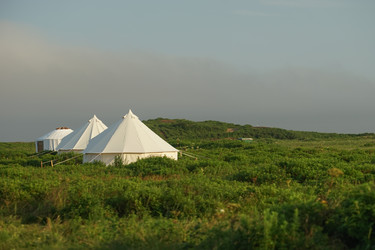 Similar image 21210162