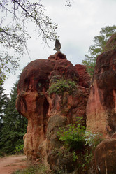 Similar image 21210192