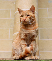 Similar image 21210194