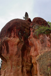 Similar image 21210195