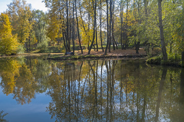 Similar image 21209546