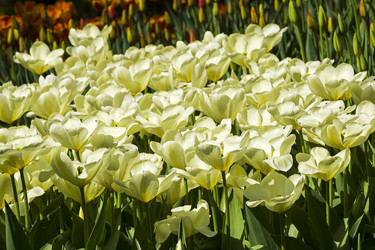 Similar image 21209547