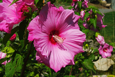 Similar image 21209550