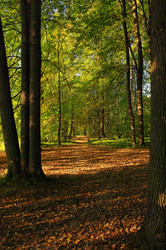 Similar image 21209552