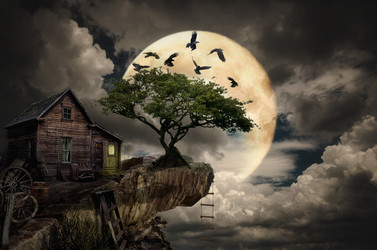 Similar image 21209556