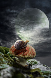 Similar image 21219714