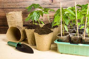 Similar image 21217392