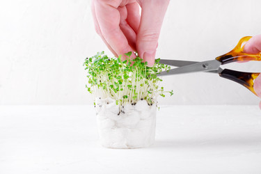 Similar image 21208130