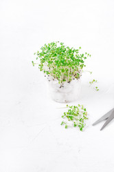 Similar image 21208131