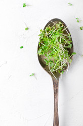 Similar image 21208132