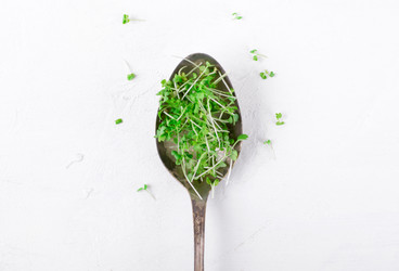 Similar image 21210260