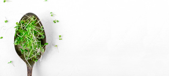 Similar image 21208148