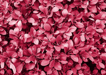 Similar image 21209827