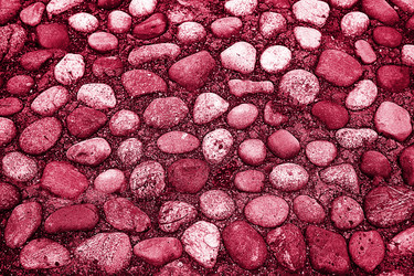 Similar image 21209828