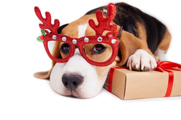 Similar image 21208727