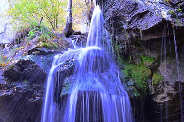 Similar image 21209566