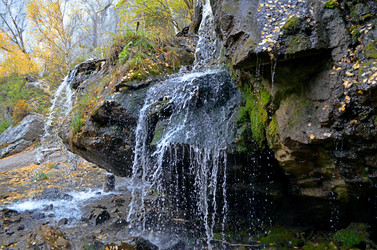 Similar image 21209570