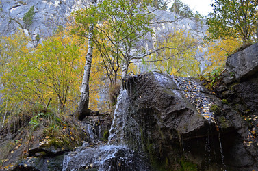 Similar image 21209571