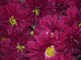 Similar image 21212599