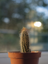 Similar image 21212604