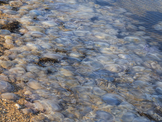 Similar image 21212609