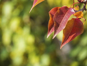 Similar image 21212620